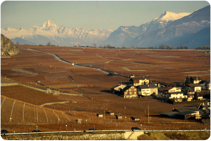 rhone valley - click on image to return
