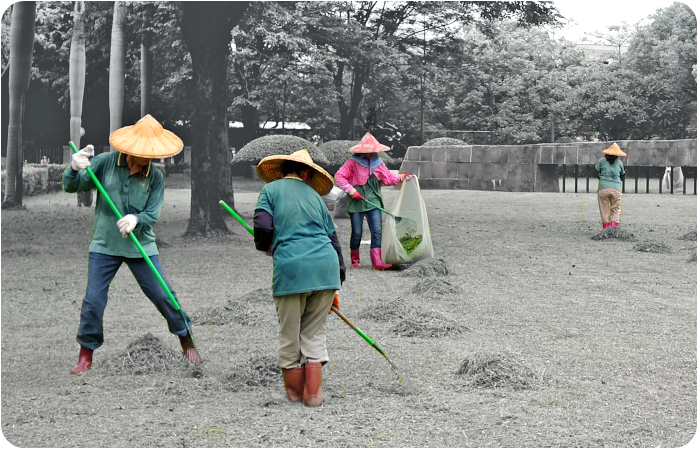 taiwanese gardeners - click on image to return